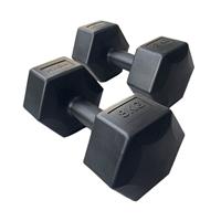 HXGN Vinyl Hex Dumbbells - 2 x 8kg