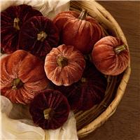 Argos Home Velvet Pumpkin Vase Fillers
