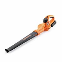 LawnMaster Cordless Leaf Blower - 24V