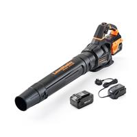 LawnMaster Axial Cordless Leaf Blower - 24V