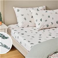Argos Home 