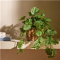 Bayswood Artificial Trailing Leaf in Rattan Pot