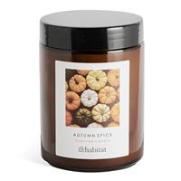 Habitat Scented Jar Candle - Autumn Spice
