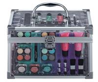 Technic Professional Transparent Beauty Case