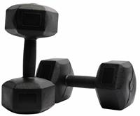 Northern Plastic Hex Dumbbells Set - 2 x 1Kg