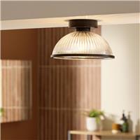Argos Home Eumee Ribbed Glass Bathroom Flush Ceiling Light - Black
