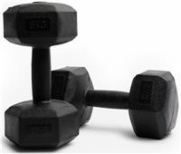 Northern Plastic Hex Dumbbells Set - 2 x 5Kg