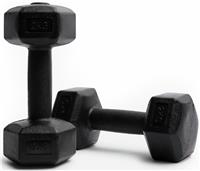 Northern Plastic Hex Dumbbells Set - 2 x 2Kg