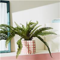 Bayswood Artificial Green Fern in Gingham Ceramic Pot - 14cm