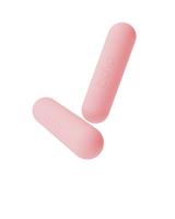 Bala Workout Bars - 2 x 1.36kg