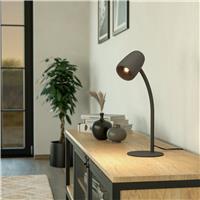 EGLO Carlo Modern Steel Flexible Desk Lamp - Black
