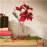 Argos Home Red Pointsettia Christmas Country Pick
