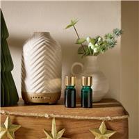 Argos Home 10ml Set of 2 Oils - Christmas Spice