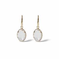 Freedom Clear Crystal Drop Earrings