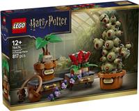 LEGO Harry Potter Hogwarts Herbology Plants Model Kit 76474 PREORDER