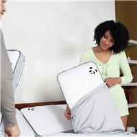 Panda Bamboo 320 TC Plain Light Grey Pillowcase Pair