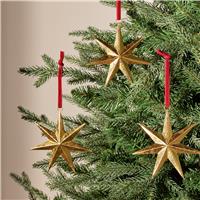Argos Home Brass Star Hanging Christmas Ornament