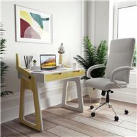 Dorel Palmer 2 Drawer Office Desk - White & Oak
