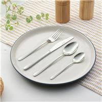 Salter Prestbury 16 Piece Stainless Steel Cutlery Set