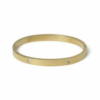 Freedom Gold Tone Stainless Steel Heart Motif and Crystal Bangle