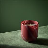 Habitat Medium Boxed Candle - Under the Christmas Tree