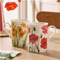 Argos Home Set of 2 Poppy & Daffodil Mugs