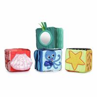 Baby Einstien Explore & Discover Blocks