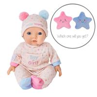 Tiny Treasures Gender Reveal 14 inches Babay Doll