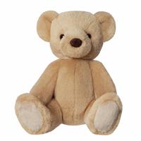 Eco Nation Teddy Bear 24cm Plush Toy