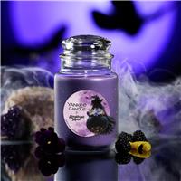 Yankee Candle Signature Large Jar Candle - Amethyst Moon