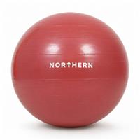 Northern Pink Gym Ball - 55cm