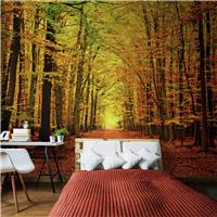 Origin Murals Autumn Forest Spice Wall Mural
