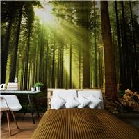Origin Murals Spruce Forest Evergreen Wall Mural