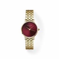Rosefield Small Edit Ladies Gold Stainless Steel Bracelet Watch