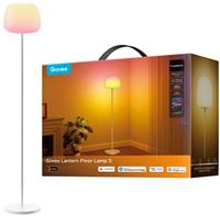 Govee Lantern Modern Smart LED Floor Lamp S