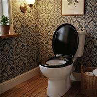 Aqualona Duroplast Hard Plastic Toilet Seat - Black