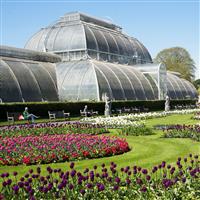 Buyagift Visit To Kew Gardens And Palace For Two Experience