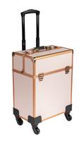 Pink Professional Make-up Trolley Case