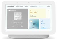 Google Nest Smart Speakers