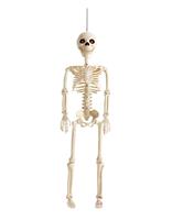 Argos Home Halloween Animated Skeleton Decoration