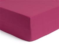 Habitat Cotton Rich 180 TC Plain Berry Fitted Sheet - Double