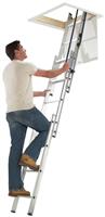 Werner Ladders