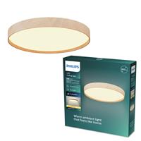 Philips Stylique 17W Metal LED Ceiling Light - Natural