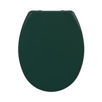 Bemis Buxton Toilet Seat - Green