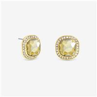 Jon Richard Gold Plated Champagne Stud Earrings