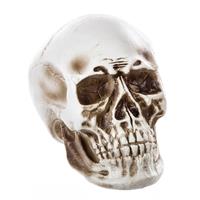 Premier Decorations Halloween Giant Skull Decoration