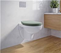 Bemis Hudson Moulded Wood Soft Close Toilet Seat - Matt Pistachio