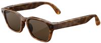 Meta Adventurer - Classic Tortoise, Brown Lenses