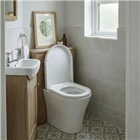 Aqualona Thermoplast D Shape Toilet Seat - White