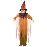 Premier Decorations Prelit Halloween Animated Hanging Witch Decoration